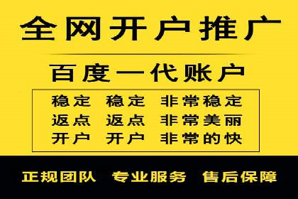 百度优化推广案例：打造行业领先品牌